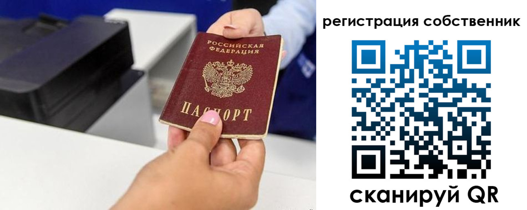 прописка для школы в Оленегорске